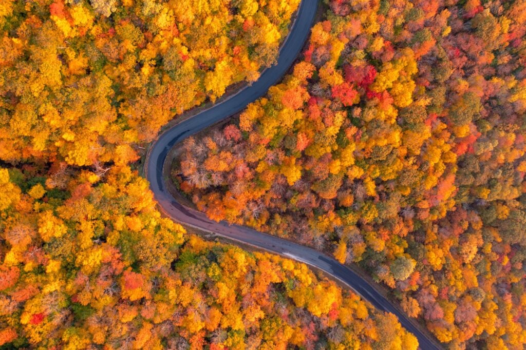 Berkshire Trail Cruise